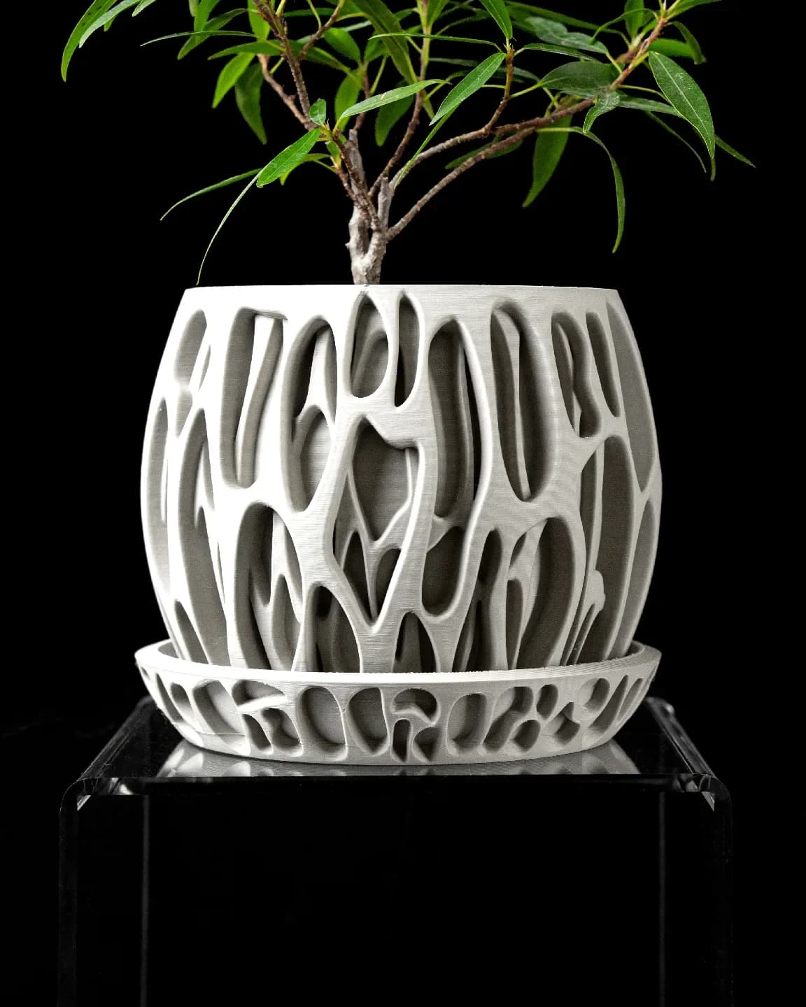 Slime - Cache pot élégant et moderne - Miniature 6