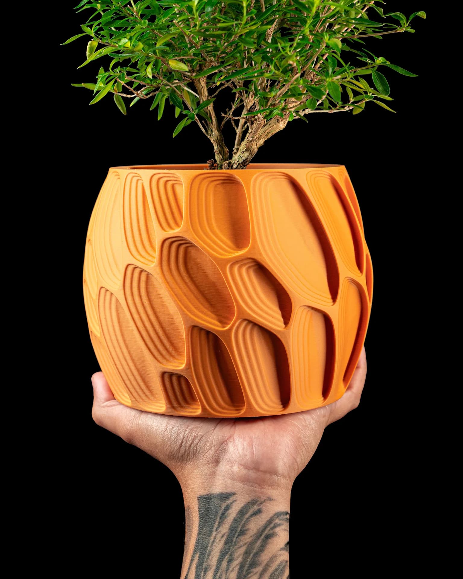 Ringo – Cache-pot sculptural aux courbes organiques - Image 1