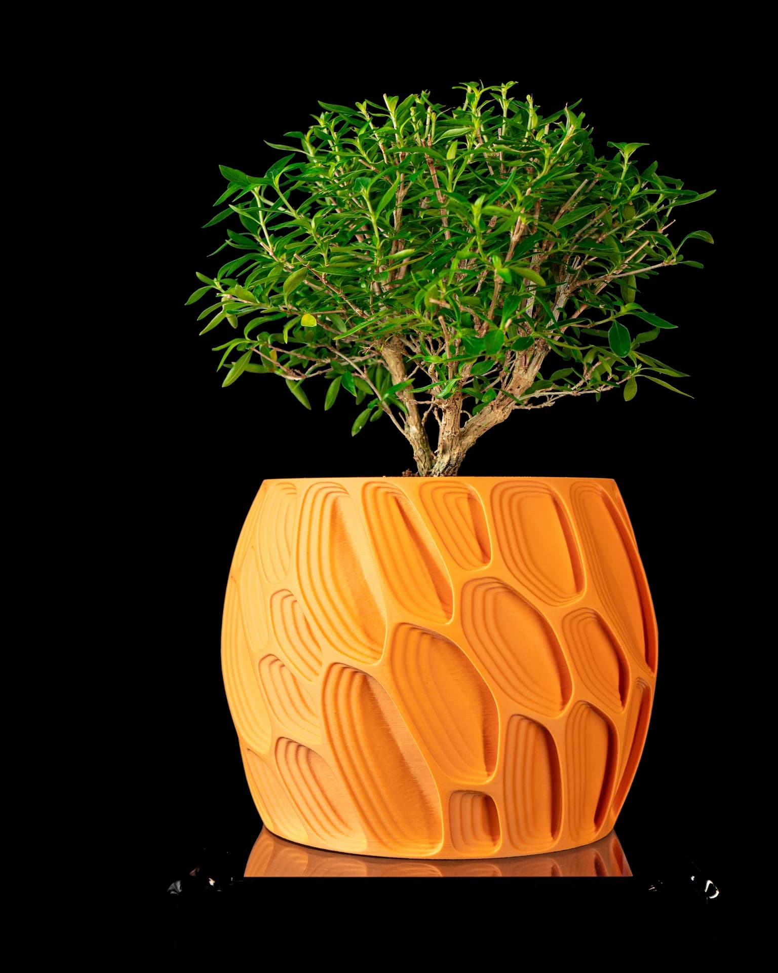 Ringo – Cache-pot sculptural aux courbes organiques - Miniature 2